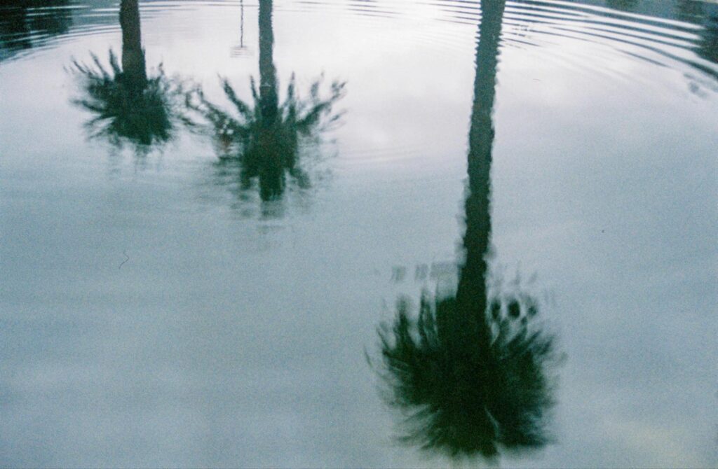Blurry reflections of palm trees appear on the surface of calm water, with gentle ripples spreading outward—a serene, abstract scene reminiscent of a Florida Keys architect’s tranquil waterfront design.