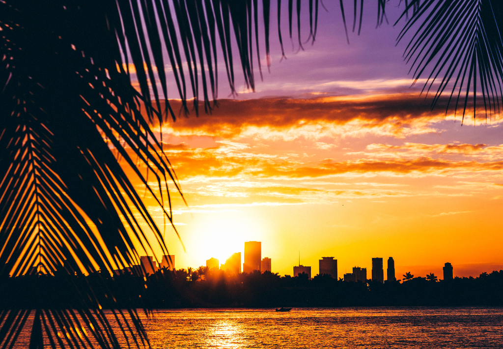 The sun sets behind a city skyline, casting an orange and purple glow over the water. Palm fronds frame the view, creating a tropical atmosphere that illustrates how rich life in Miami can be.